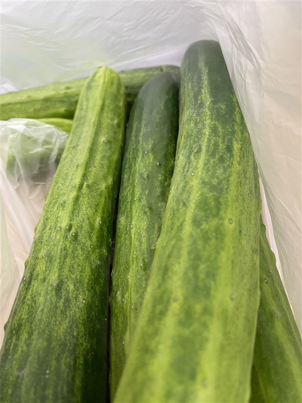 KakaoTalk_20240326_113233000_03.jpg