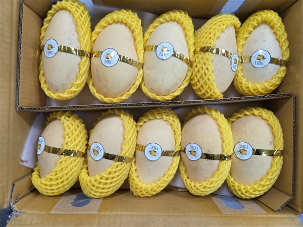 KakaoTalk_20250225_152123897_02.jpg