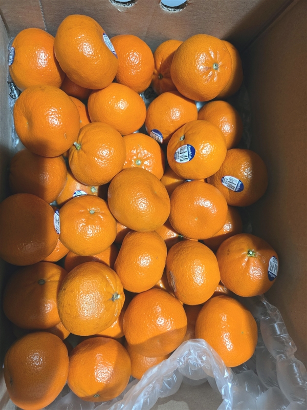 홈앤만다린4kg_규린.jpg
